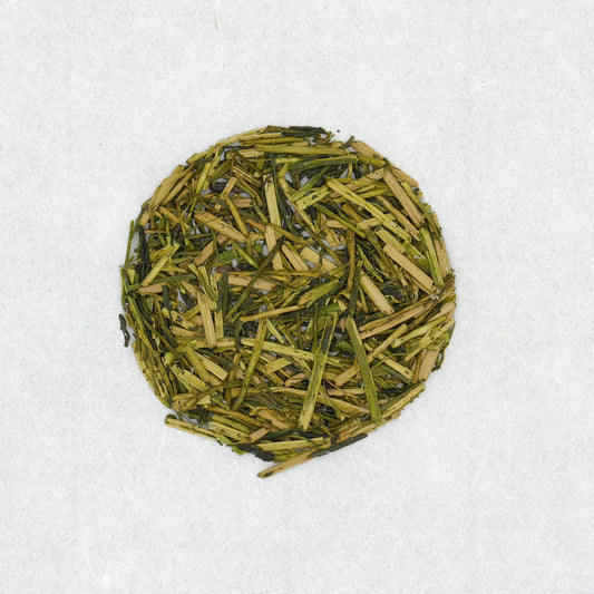 Houjicha Asairi