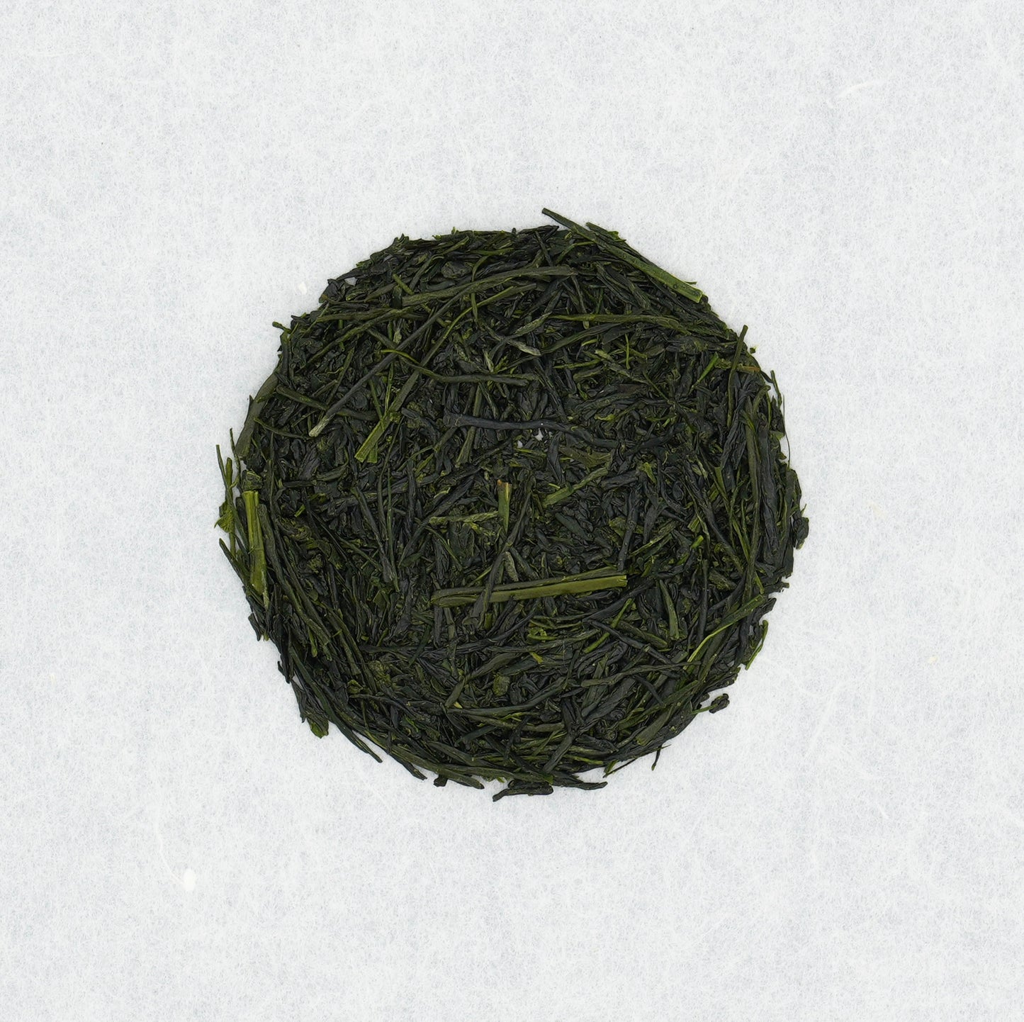 Shincha 2026
