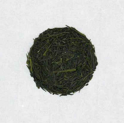 Shincha 2026