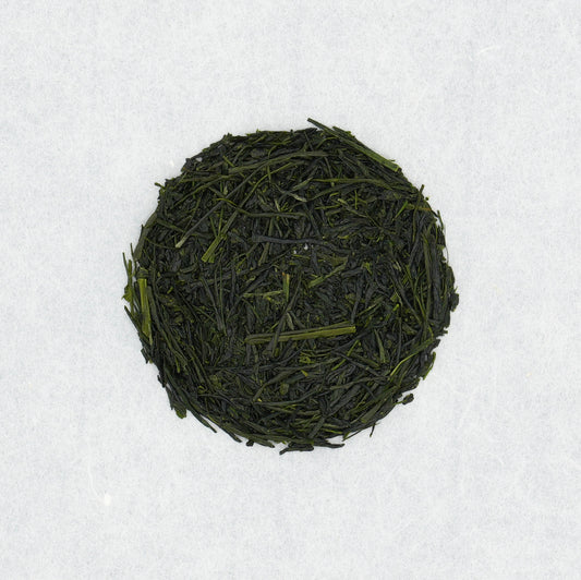 Shincha 2026