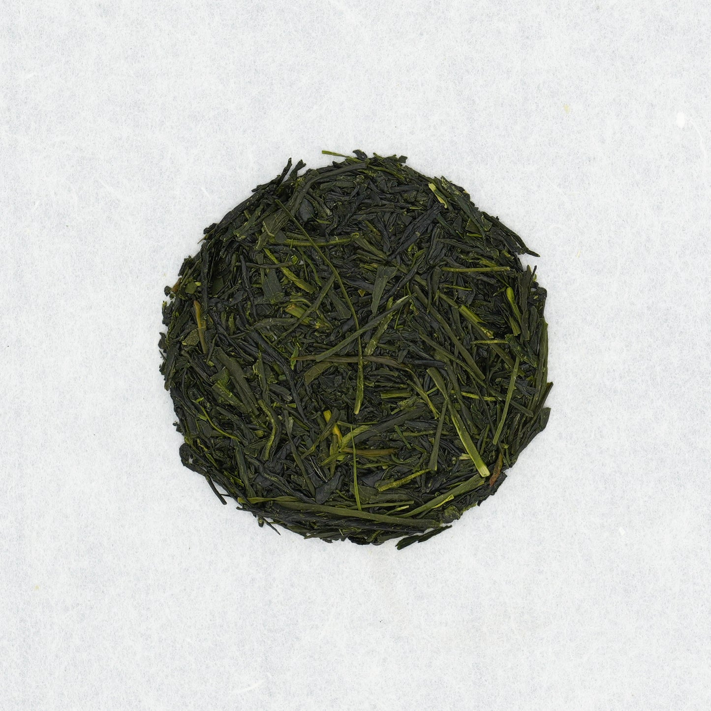 Sencha Hoshino