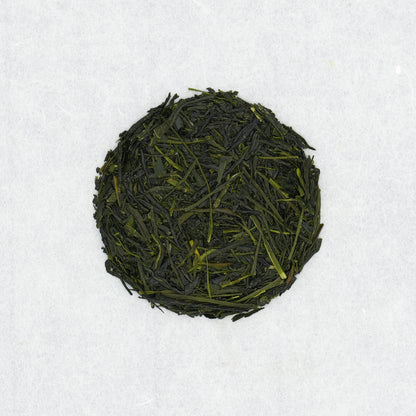 Sencha Hoshino