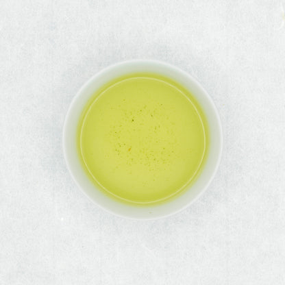 Sencha Hoshino