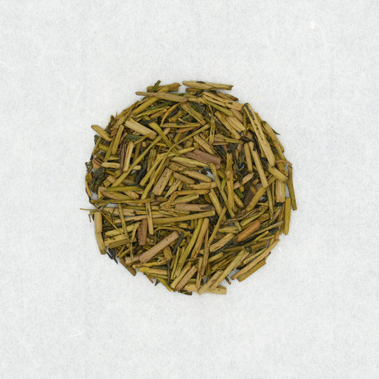 Houjicha Hoshino