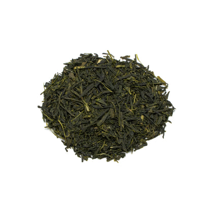 Sencha Hoshino